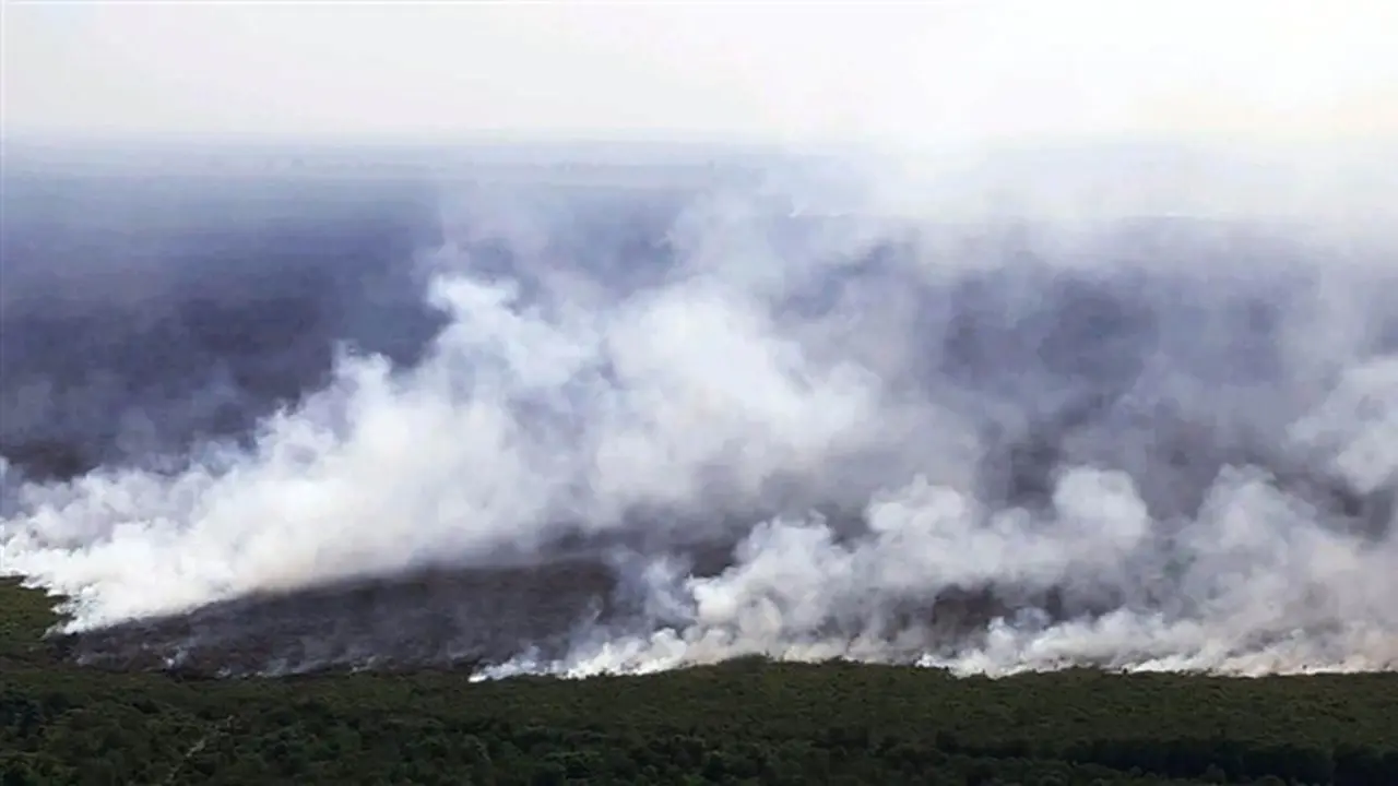 Kebakaran Hutan