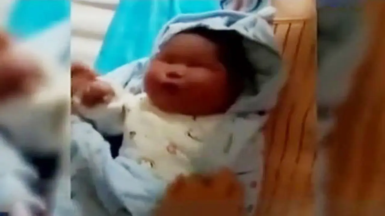 Bayi Raksasa