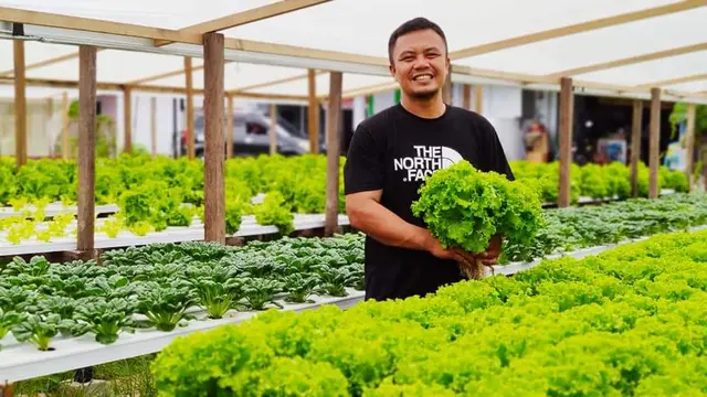 Rudy Adam petani hidroponik Gorontalo yang usahanya bertahan meski di tengah pandemi (Liputan6.com/Gorontalo)