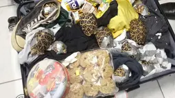 Biro Kepabeanan Filipina menunjukkan kura-kura yang ditemukan dalam kondisi terikat lakban di dalam koper pada konferensi pers di bandara Manila, 3 Maret 2019. Kura-kura itu diketahui dibawa dalam penerbangan dari Hong Kong. (Bureau of Customs via AP)