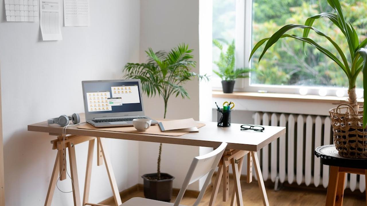 Desain Kantor Minimalis Modern untuk Produktivitas Maksimal