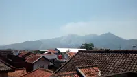 Gunung Guntur terbakar (Liputan6.com/Jayadi Supriadin)