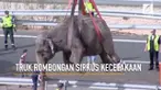 Seekor gajah mati dan dua lainnya luka-luka setelah truk yang mengangkut mereka terbalik di Albacete, Spanyol.
