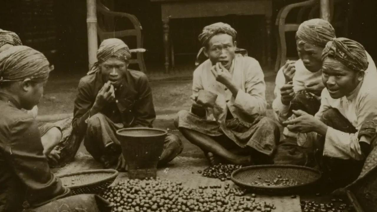 Kondisi sebaliknya terjadi di Tanah Air. Rakyat Priangan menderita & dipaksa menanam kopi oleh VOC dan para pembesar pribumi. Mereka dipaksa meninggalkan lahan pertanian mereka demi 'emas hitam'.