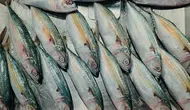 Protein Hewani Tak Harus Mahal, Ikan Kembung Bisa Jadi Pilihan