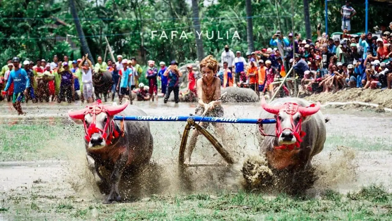 Festival Pesona Moyo 2018