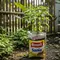 8 Inspirasi Berkebun Hemat Tanpa Membeli Pot Tanaman, Murah dan Cocok untuk Semua Jenis Halaman