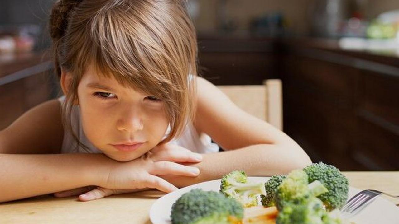 Anak Susah Makan? Coba Terapkan 11 Cara Ini, Dijamin Anak Mau Makan