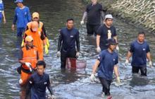Pramono Perintahkan Operasi Pembersihan Ikan Sapu-Sapu Diperluas ke Seluruh Wilayah Jakarta