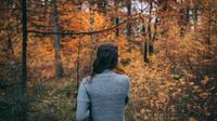 Ilustrasi Mimpi Tersesat di Hutan Credit: pexels.com/Harold