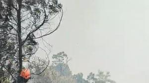 Kebakaran Bromo Kian Mengkhawatirkan, Api Mulai Masuk Wilayah Malang