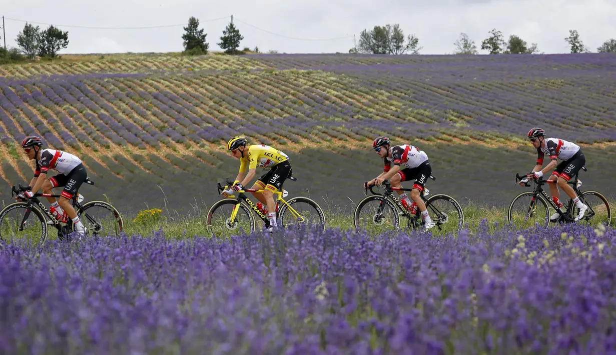 Sejumlah pembalap sedang melaju pada etape ke-11 balap sepeda Tour de France 2021 yang menempuh jarak 198 km, dari Sorgues menuju Malaucene, pada 07 Juli 2021. (AFP/Thomas Samson)
