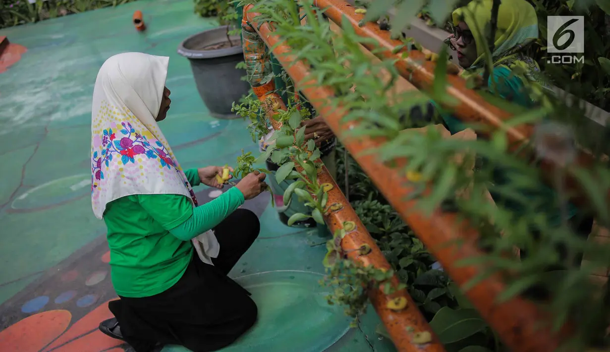 Petugas mengecek kondisi bibit bunga di Balkot Farm yang terletak di Balai Kota DKI Jakarta, Senin (16/9/2019). Balkot Farm menjadi percontohan upaya memanfaatkan keterbatasan lahan di area perkantoran untuk mengaplikasikan urban farming atau pertanian perkotaan. (Liputan6.com/Faizal Fanani)