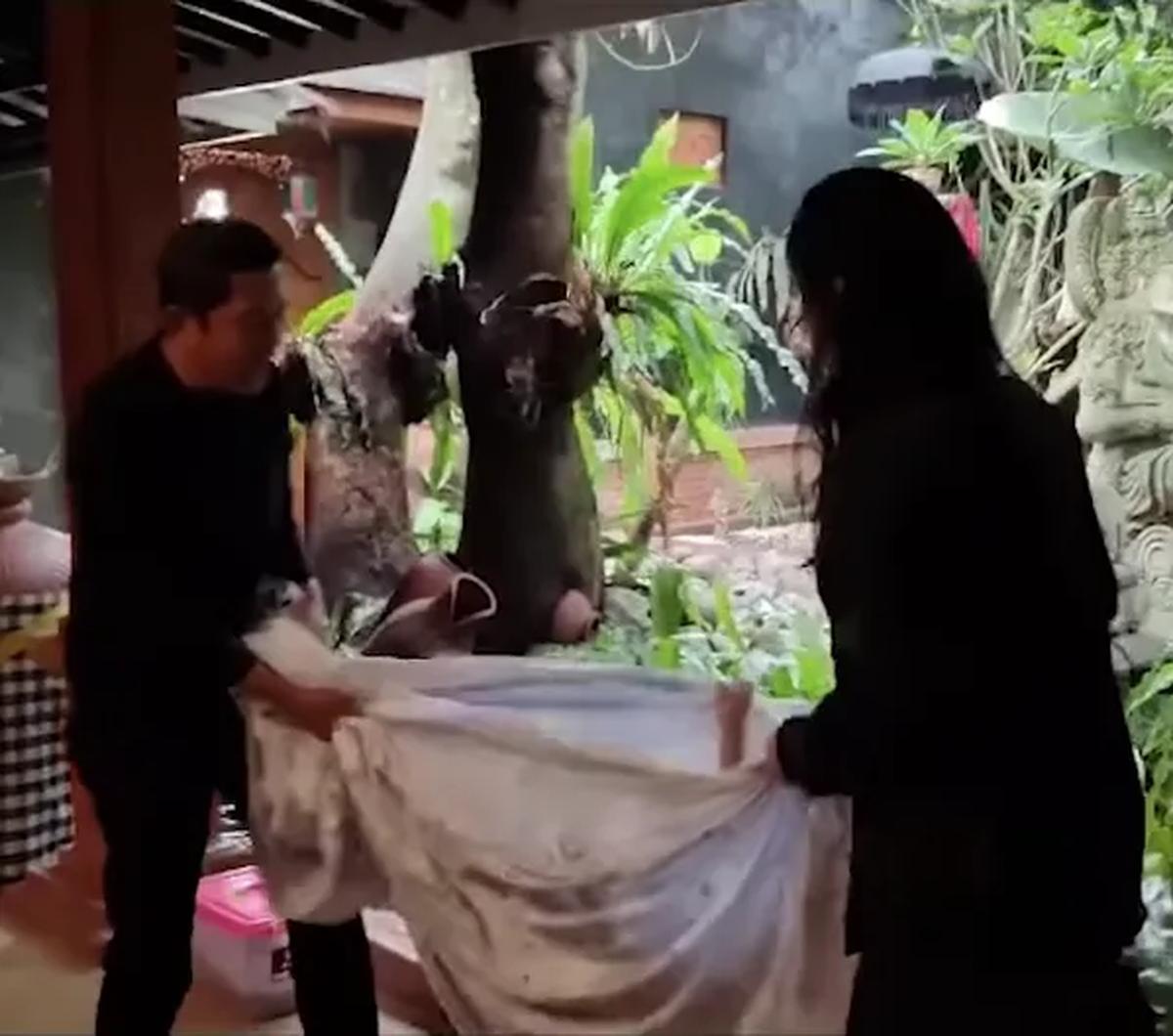 Dok. Istimewa
