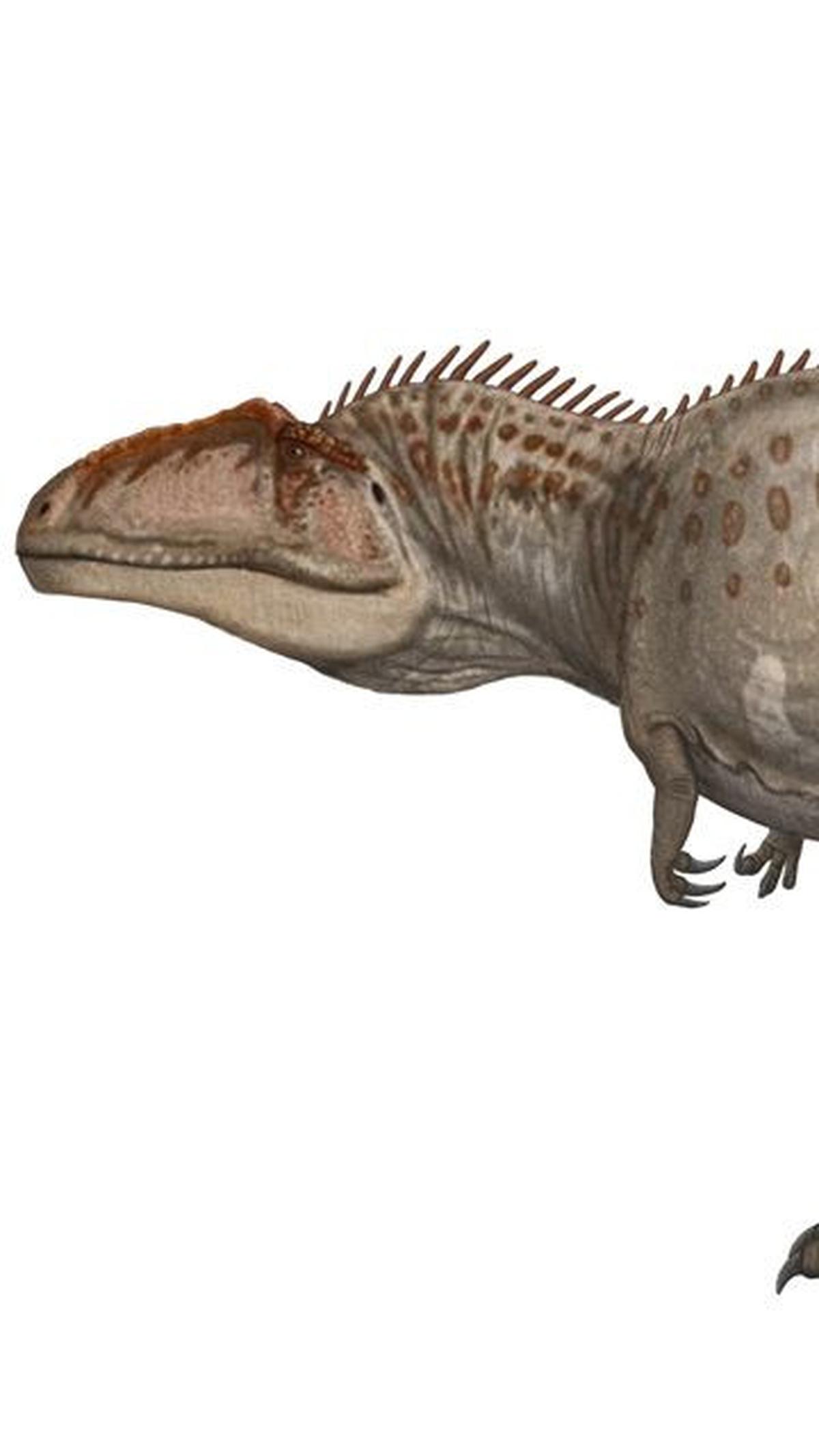 6.&nbsp;Giganotosaurus