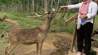 7 Rekomendasi Tempat Wisata Bogor, Wisata Edukatif hingga Glamping Estetik untuk Libur Panjang
