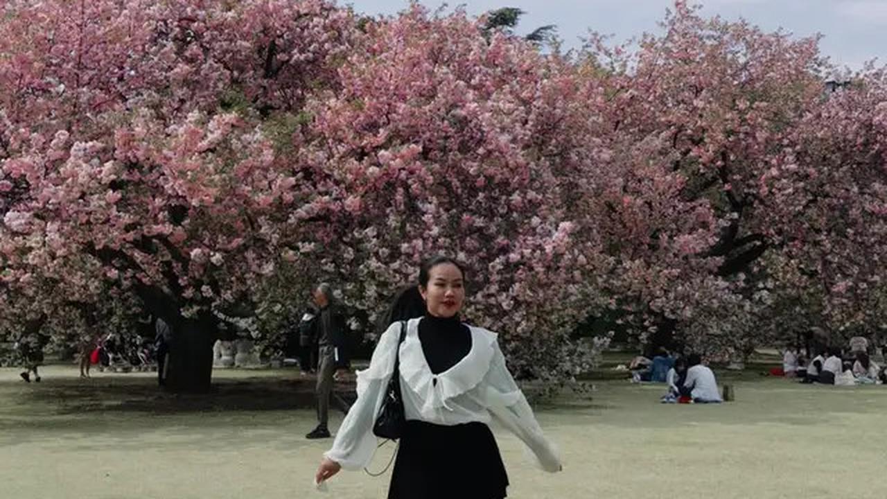 Adu Gaya Syifa Hadju, Ariel Tatum, dan Yura Yunita Saat Nikmati Sakura: Inspirasi Tampilan Elegan Musim Semi