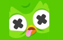 Mengenal Duolingo yang Viral Soal Kematian Si Burung Hantu, Apa Itu?