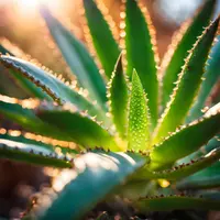 Ilustrasi. (foto: AI Canva).