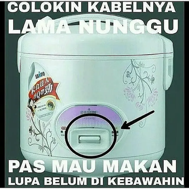 6 Momen Apes Sebelum Masak Nasi Ini Bikin Elus Dada, Ada Saja Masalahnya