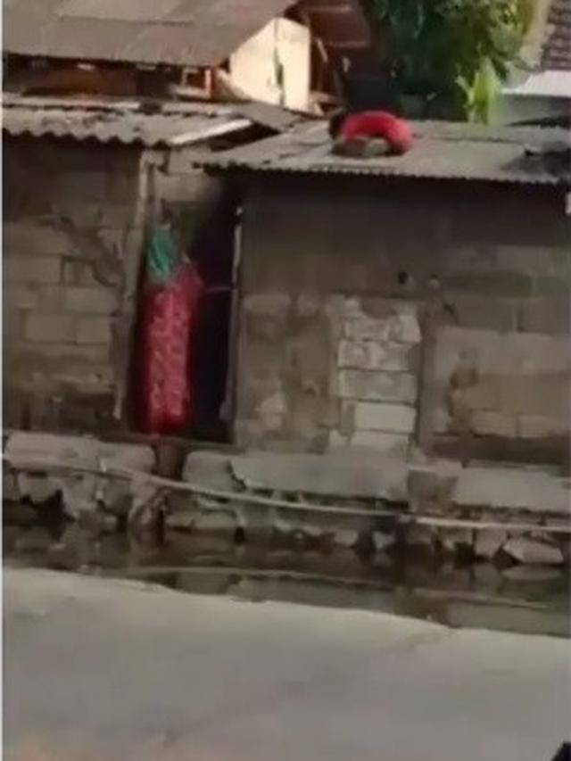 bocah ngumpet di atap genteng