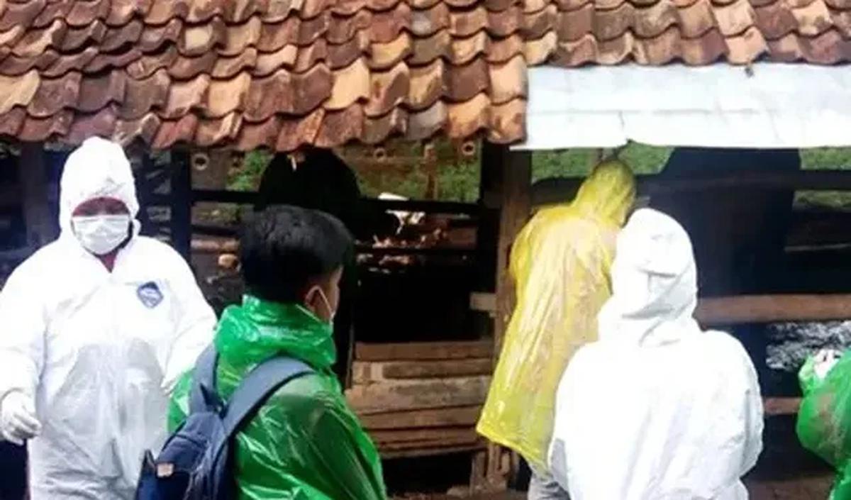 Kondisi pasien terus memburuk. Kemudian dirujuk ke RSUP Dr Sardjito tanggal 3 Juni 2023. Pasien meninggal dunia pada 4 Juni 2023.