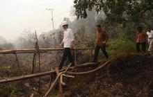Aksi Jokowi terus pantau pemadaman lahan gambut di Kalimantan