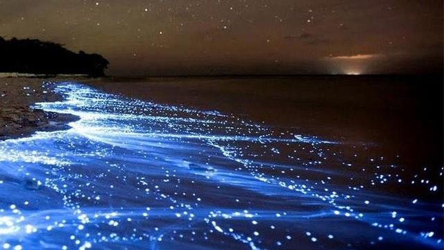 Pantai Terunik di Dunia