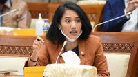 Anggota Komisi XI DPR RI Puteri Anetta Komarudin.
