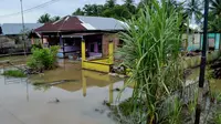 Banjir rendam 14 desa di Bengkulu (Liputan6.com / Yuliardi Hardjo Putro)