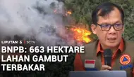 663 Hektare Lahan Gambut Masih Terbakar, Pemerintah Tambah Puluhan Ribu Personel