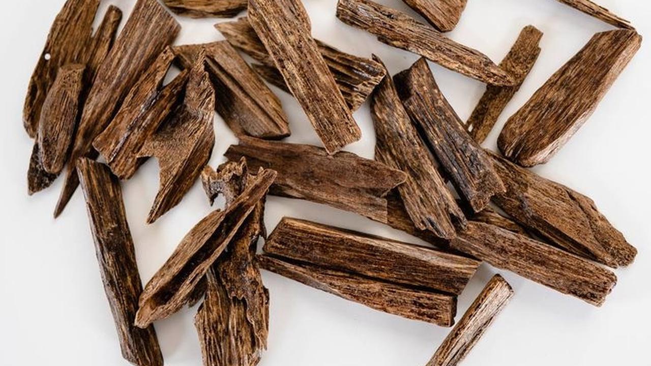 4 Aroma Parfum Pria yang Dijamin Membuat Wanita Terpesona