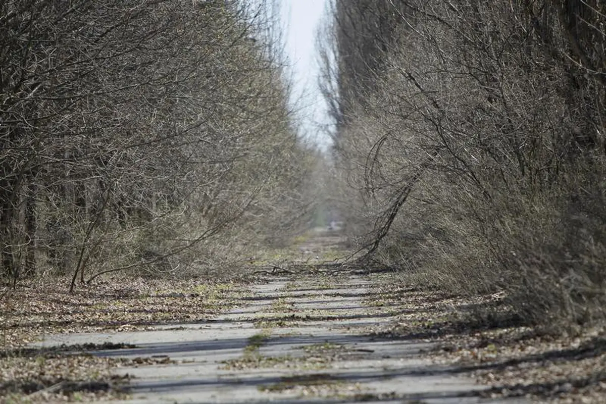 Bencana Chernobyl