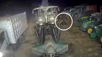 Warga Tulang Bawang Tewas Ditusuk di Kebun Tebu, Pelaku Ditangkap