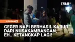 Seorang narapidana yang kabur dari Lapas Nusakambangan, Cilacap, Jawa Tengah, berhasil ditangkap warga setelah sempat melarikan diri dari pulau penjara tersebut.