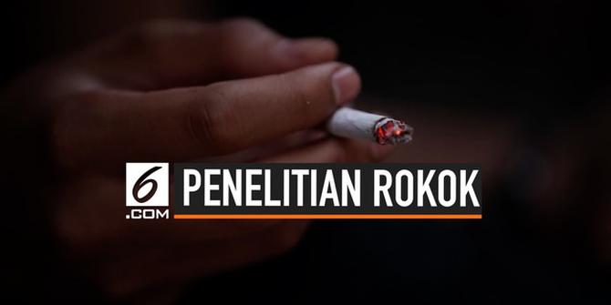 VIDEO: Bantuan Sosial Malah Dorong Warga Merokok?