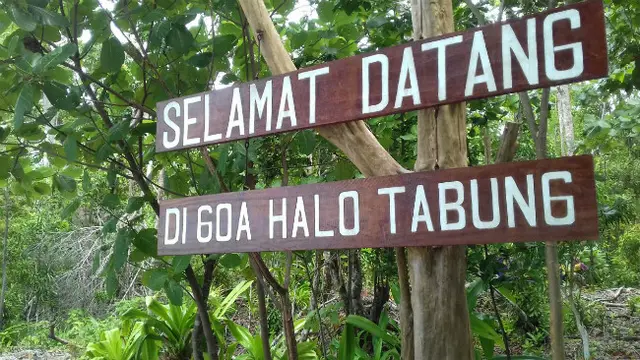 Pulau Kakaban, Kepulauan Derawan, Kalimantan Timur