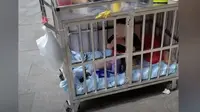 Seorang ibu di China sengaja memasukkan anaknya dalam kandang besi agar bisa dipantau oleh ibunya saat bekerja (dok. YouTube/VDS NEWS-CN)