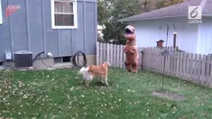 Sebuah video merekam seeokor anjing yang bertemu dengan seekor dinosaurus.