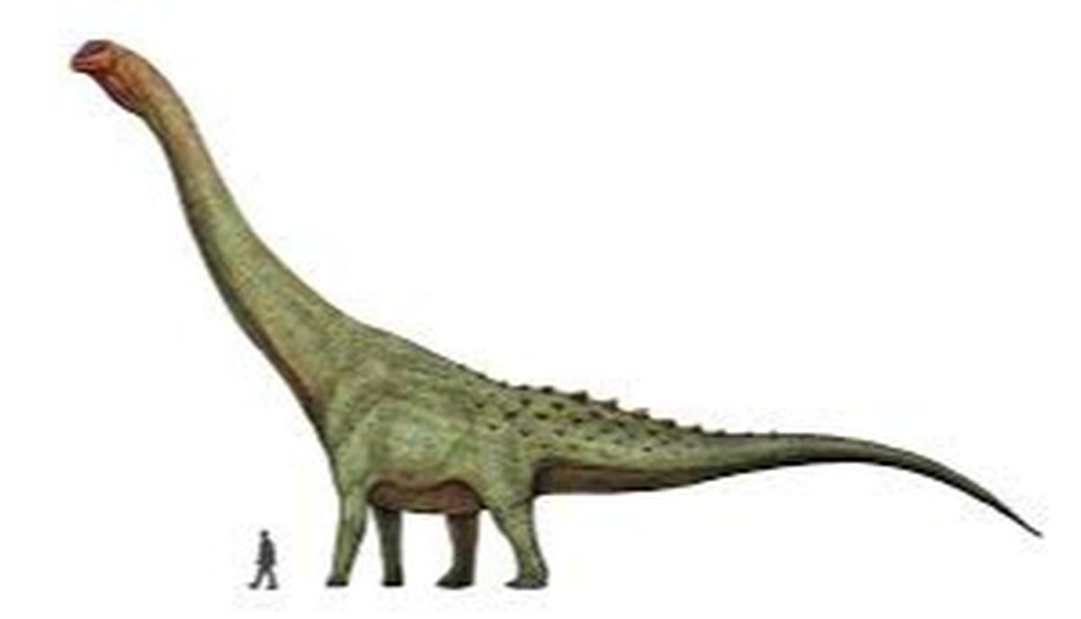 8 Titanosaurus Terbesar: Mengungkap Rahasia Raksasa Zaman Kapur