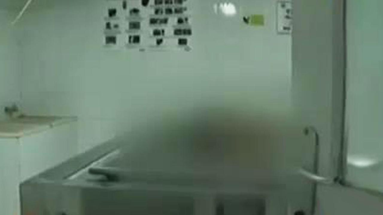 Mayat Wanita Dimutilasi