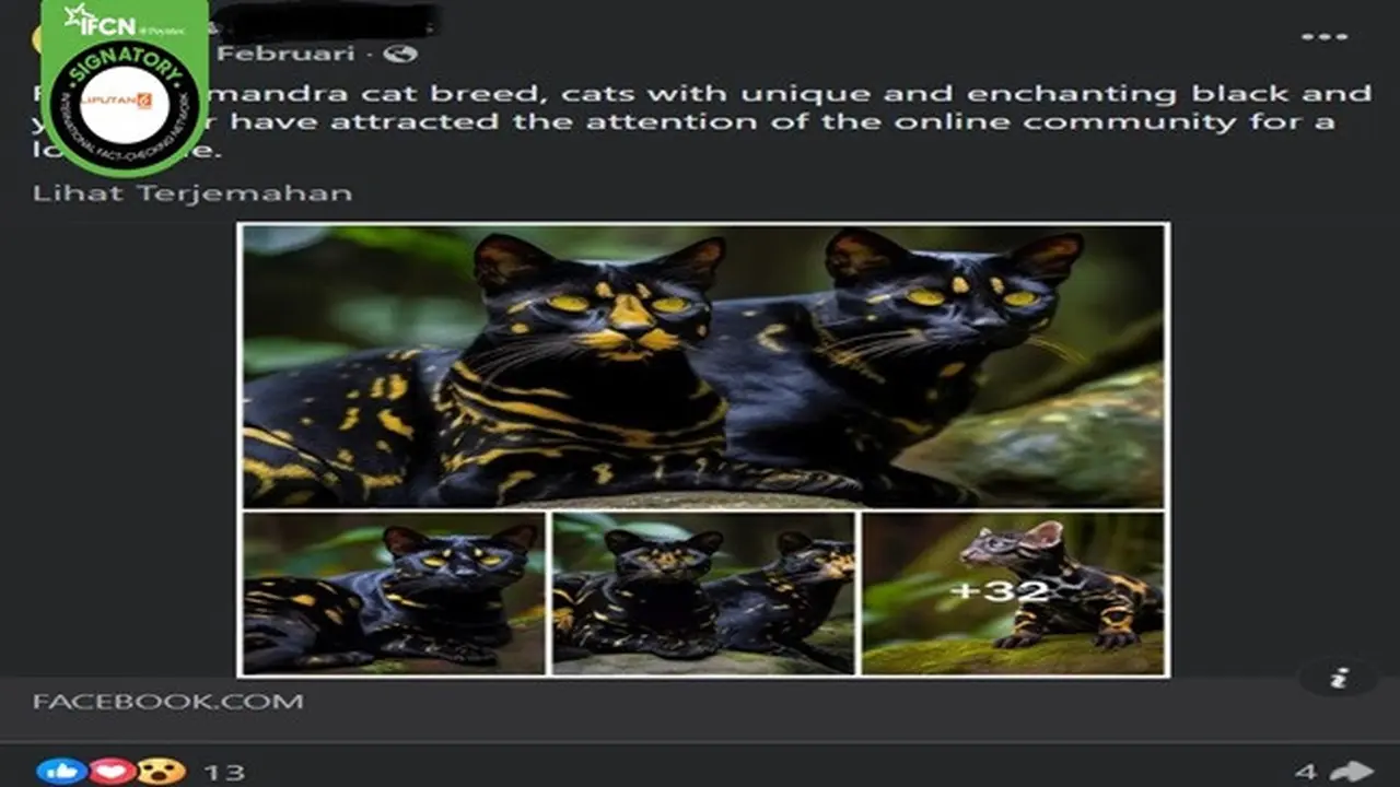Gambar tangkapan layar foto yang diklaim sebagai penampakan kucing Felis Salamandra. (sumber: Facebook)