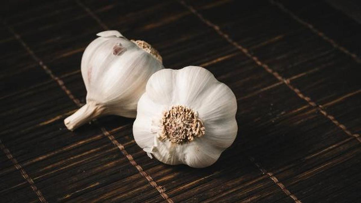 Bawang putih mengandung senyawa antibakteri yang mengurangi sakit gigi
