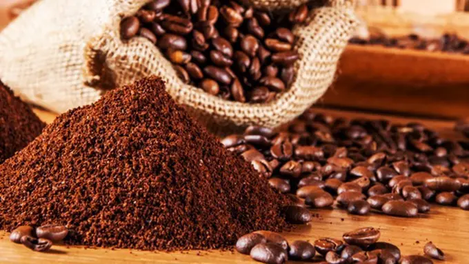 copyright by shutterstock.com