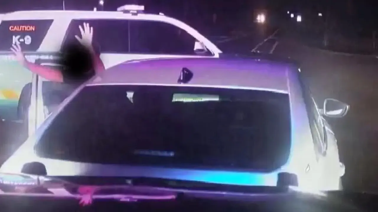 Polisi Florida memberhentikan bocah 10 tahun menyetir mobil di jalan raya. (Alachua County Sheriff/Facebook)