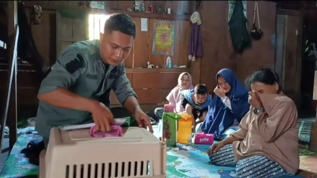 Momen Haru Pelepasan Anak Beruang, Terlanjur Sayang Ibu Ini Sampai Menangis