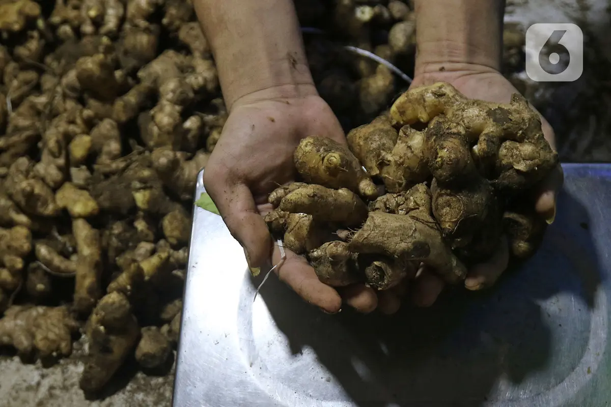 Harga Jahe Hingga Temulawak Naik
