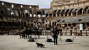 Kucing melintas saat konser yang dipersembahkan untuk pembukaan kembali Colosseum, Roma, Italia, Senin (1/2/2021). Italia mencabut sebagian langkah pembatasan yang bertujuan untuk menahan penyebaran COVID-19 pada 1 Februari 2021. (Cecilia Fabiano/LaPresse via AP)