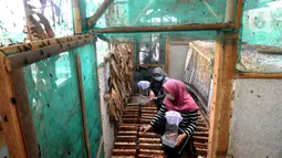 Kaum ibu dari Kelompok Wanita Tani (KWT) Berkah memilih indukan lalat yang akan dijadikan maggot sebagai pakan lele  di Kampung Ramah Lingkungan, Mutiara Bogor Raya, Katulampa, Kota Bogor, Jawa Barat, Minggu (13/12/2020). (merdeka.com/Arie Basuki)