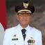 Nurdin Abdullah adalah Bupati Kabupaten Bantaeng periode 2008 hingga 2013.